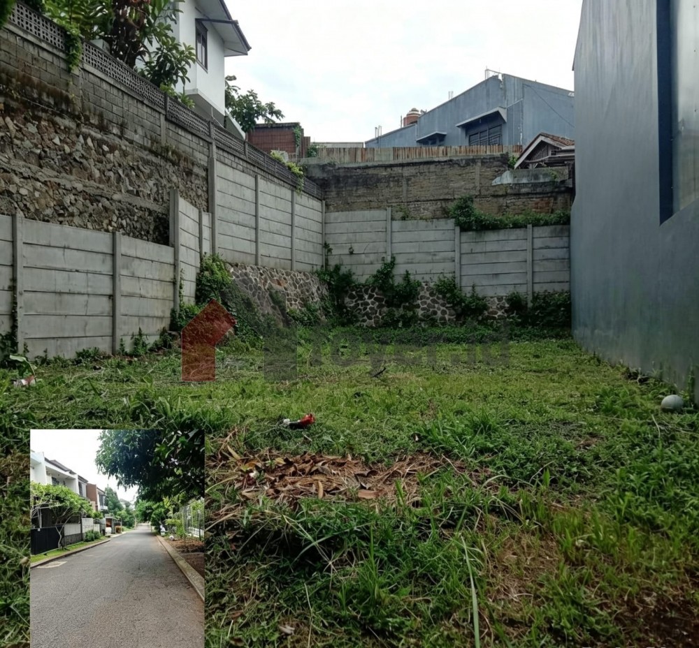 Listing photos